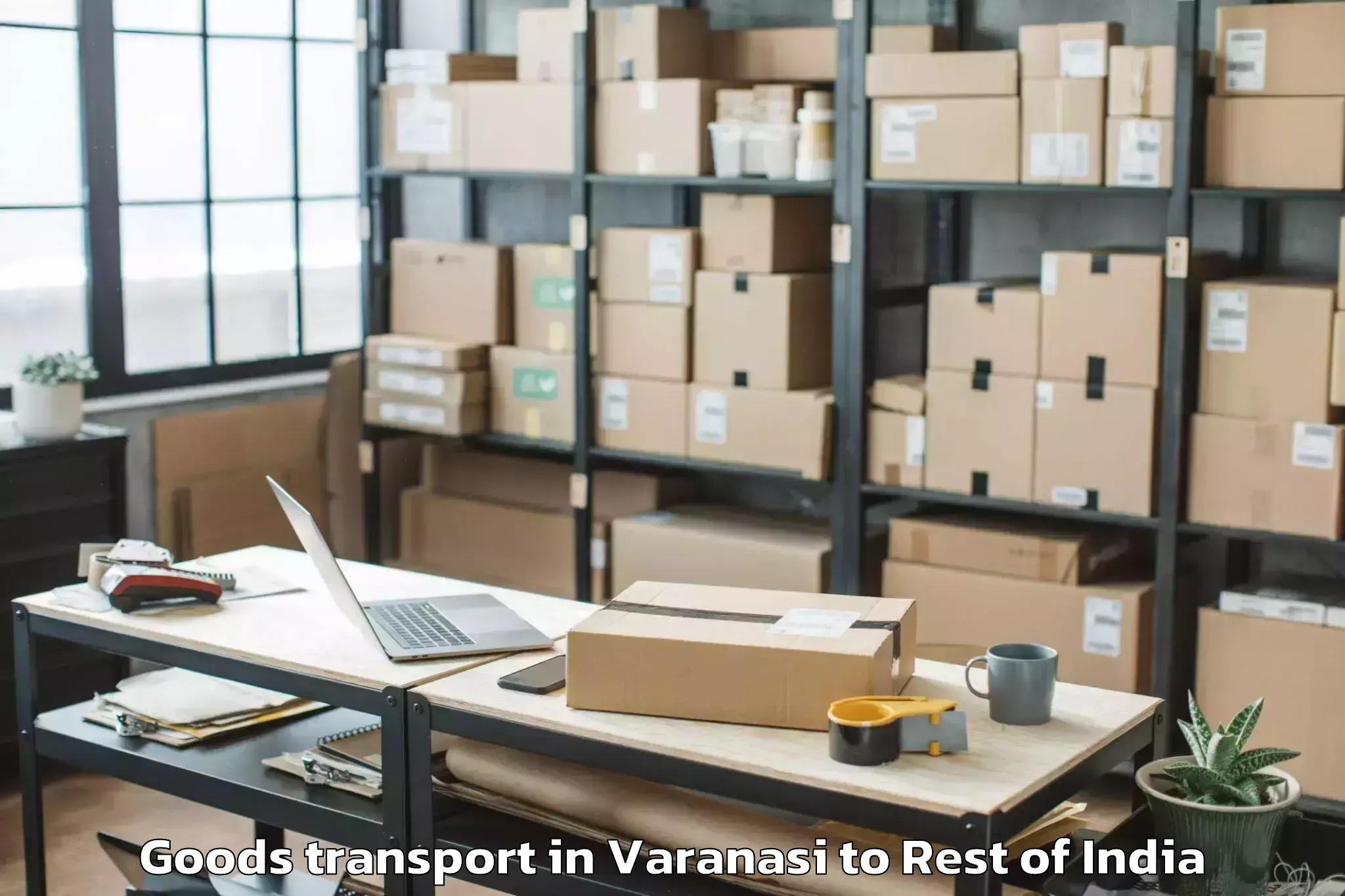 Quality Varanasi to Pernambut Goods Transport